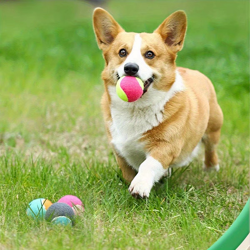1/2pcs Balls Toy Solid Hard Ba - огляд і ціна Kids Outdoor Yard Games